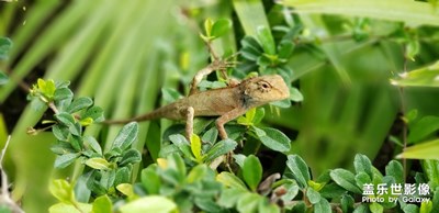 出去拍外景發(fā)現(xiàn)的