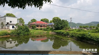 我的家鄉(xiāng)美不美