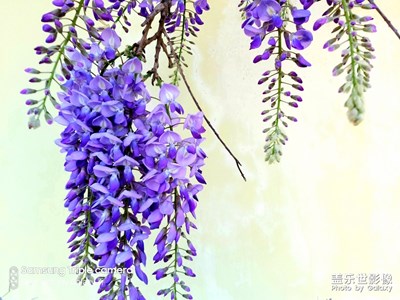 帖子要審核二十多小時(shí)？