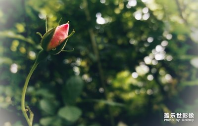 【玩轉(zhuǎn)五一】