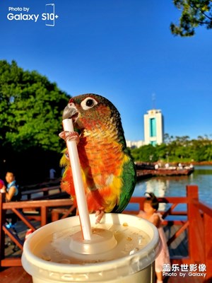 【玩轉(zhuǎn)五一】福州左海公園  乖乖3