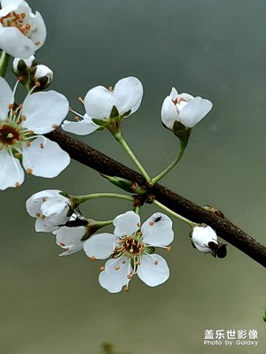 你，看見了什么？