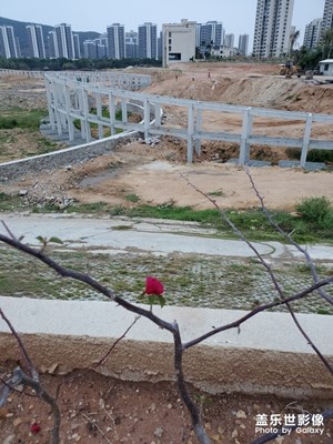 一天一個(gè)變化