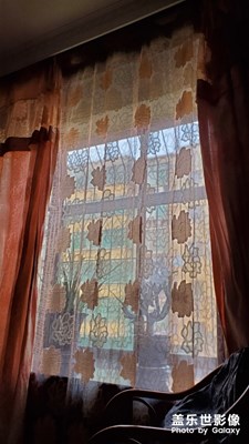 慵懶的早晨……