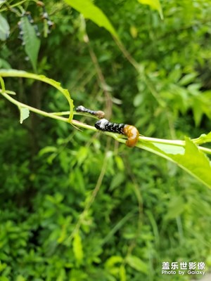 【玩轉(zhuǎn)五一】水庫