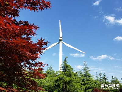 【玩轉(zhuǎn)五一】上海濱海森林公園打卡