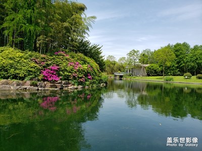 五一上海共青國(guó)家森林公園