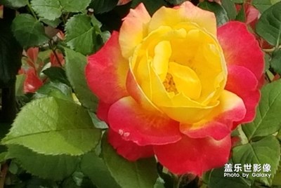 原創(chuàng)112538536