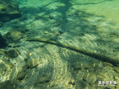 【走四方】+濟南