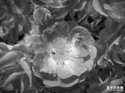 【走四方】+五一泉城親子游