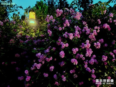 【走四方】+一城山色半城湖，大美濟(jì)南