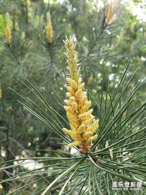 【走四方】+ 濰坊白浪河邊隨拍