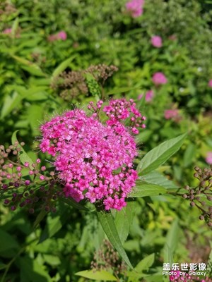 【走四方】+上班路上