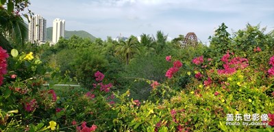 園區(qū)內(nèi)景觀