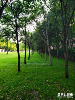 我喜歡的風(fēng)景