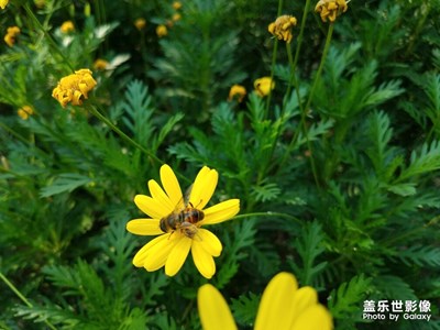 今天是5月12號