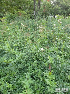 【走四方】唐城墻遺址公園