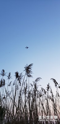 【初夏印象】+釣魚隨拍