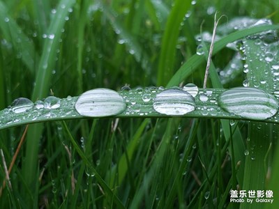 【初夏印象】美無處不在