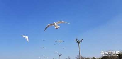 風(fēng)景照