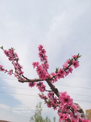 隴上江南-天水， 歡迎您！