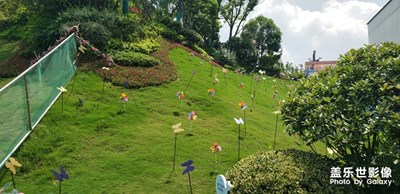 我就是隨便照照