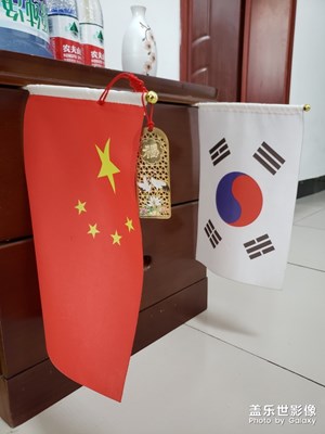 我宿舍的國(guó)旗