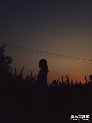 剪影