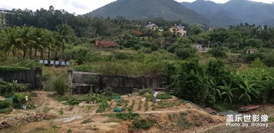 三亞的風(fēng)景