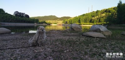 唐·玉華宮游隨手拍