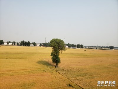 回學(xué)校去(農(nóng)村的風(fēng)景)
