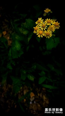 杭州，臨安，民宿