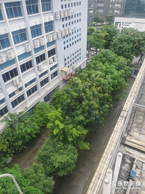 【異鄉(xiāng)】+廣州