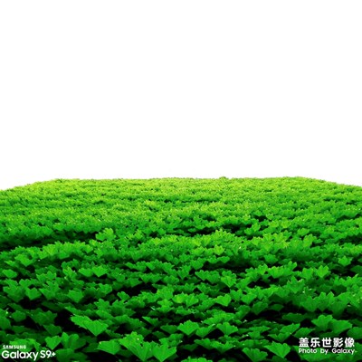 街拍【4】·憶成都