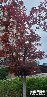 停下來