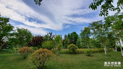 【異鄉(xiāng)】＋西安夜景