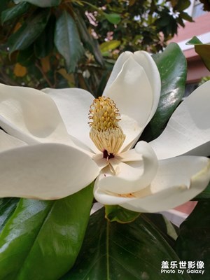 我想。。。。。。