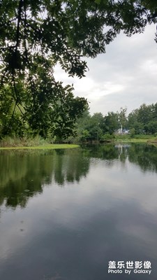 池塘邊