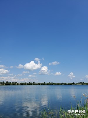 生如夏花之絢爛