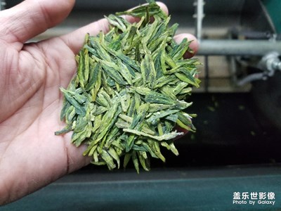 龍井茶