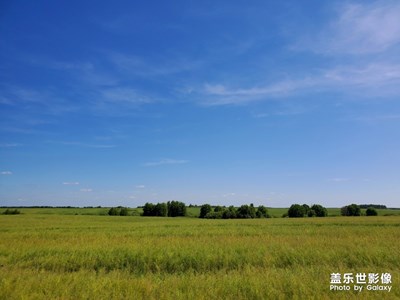 郁郁蔥蔥留客醉