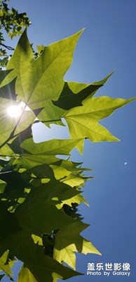 藍(lán)天白天，端午的氣息＋三星的攝力！