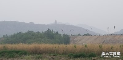 【美麗家園】+我愛我家