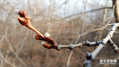 。。。。。。。。。。