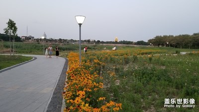公園