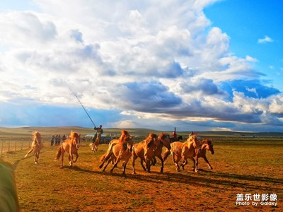 【美麗家園】+鳳凰馬場(chǎng)