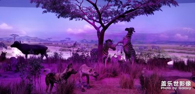 【端午風情】+攜子游天津自然博物館