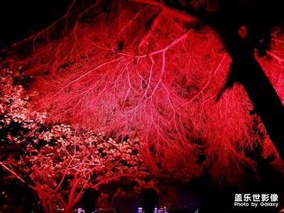 武漢夜景，江景！