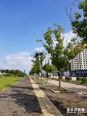 【走進夏天】+夏日風情