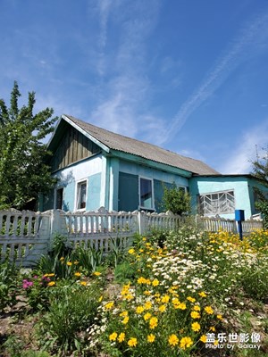 水風空落眼前花